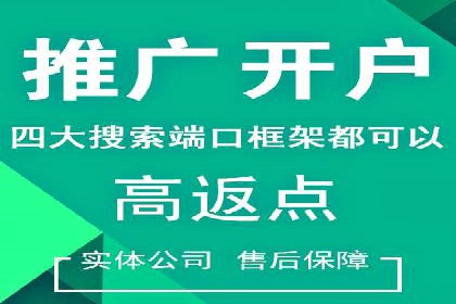 竞价推广公司案例：实战技巧与策略
